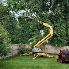 Best Tree Disease Treatment  in Cataula, GA